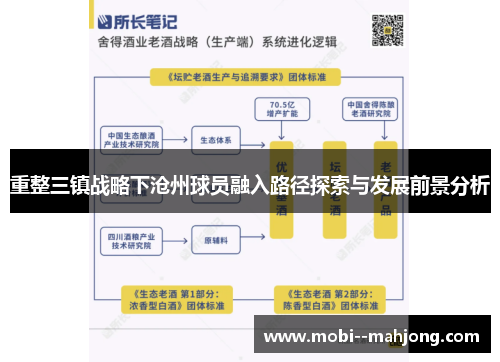 重整三镇战略下沧州球员融入路径探索与发展前景分析